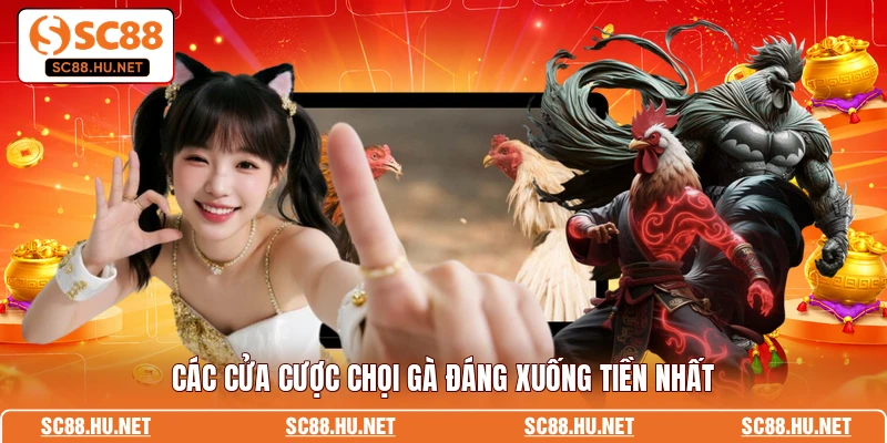 Các cửa cược chọi gà đáng xuống tiền nhất
