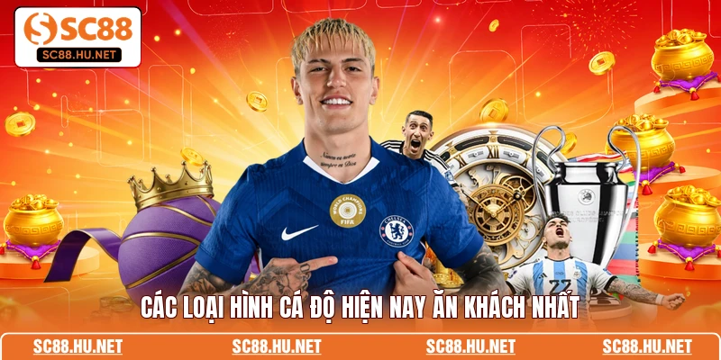 Các loại hình cá độ hiện nay ăn khách nhất