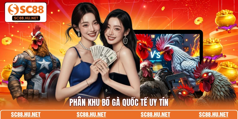 Phân khu bồ gà quốc tế uy tín