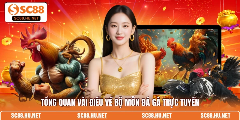 Tổng quan vài điều về bộ môn đá gà trực tuyến